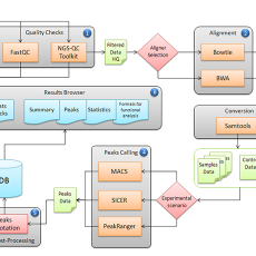 Workflow analysis