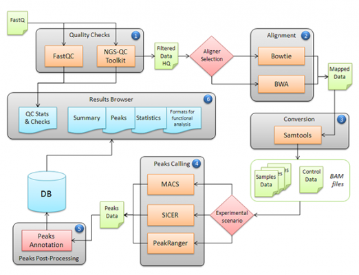 Workflow analysis | DongPengBoDa Steel Pipes Group