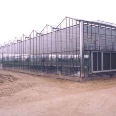 Tips before you will start your plastic greenhouse in future